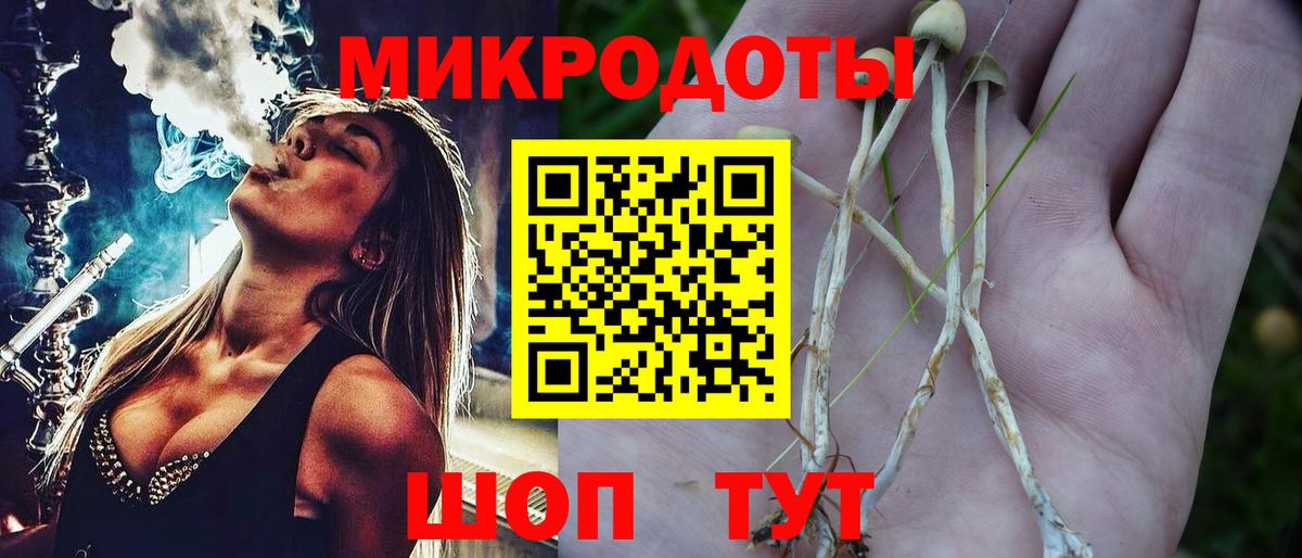 Люберцы  Псилоцибиновые грибы Cubensis  Вход с VPN 